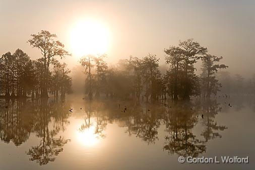 Foggy Lake Martin Sunrise_26798.jpg - Photographed in the Cypress Island Preserve near Breaux Bridge, Louisiana, USA.